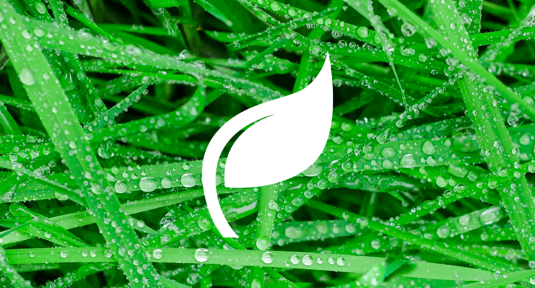 green initiative icon