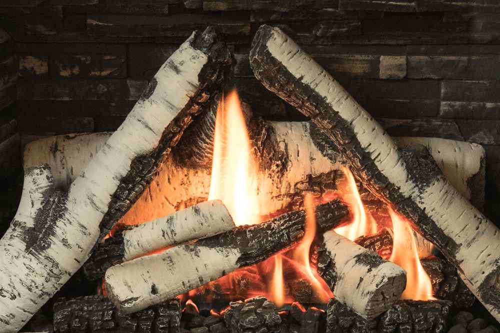 Valor G4 Gas Fireplace Insert Birch Logs