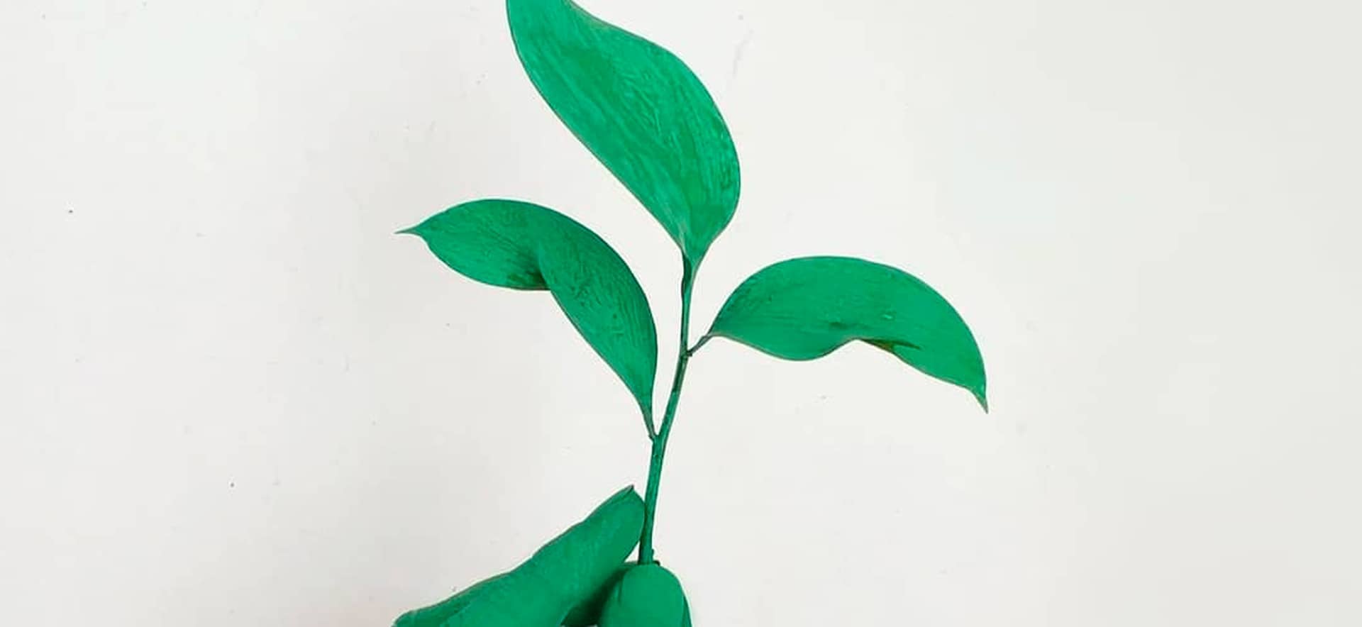 image of green leaf