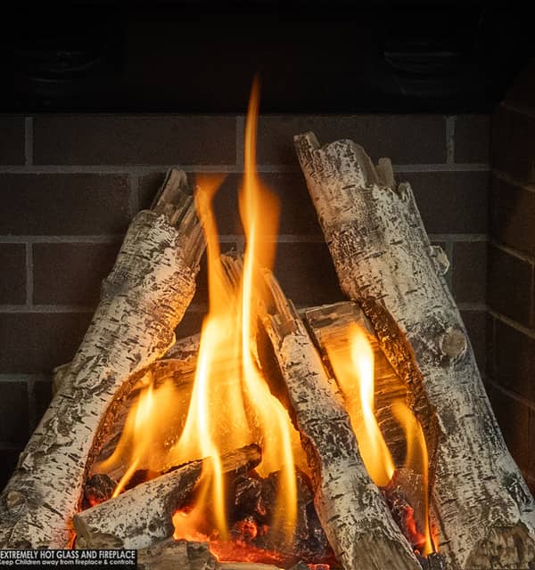 Valor Portrait Birch Logs