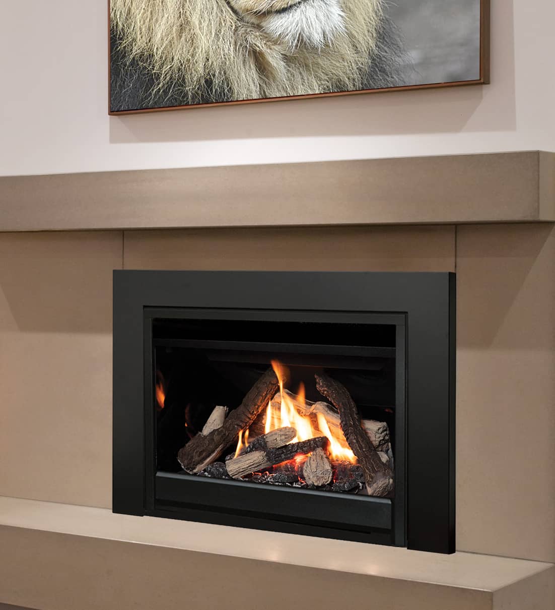 Locate a Valor dealer to purchase a gas fireplace